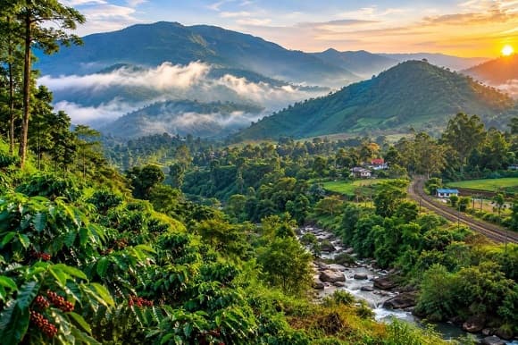 Vizag to Araku Valley | Vanjangi | Lambasingi Tour Packages photo 1