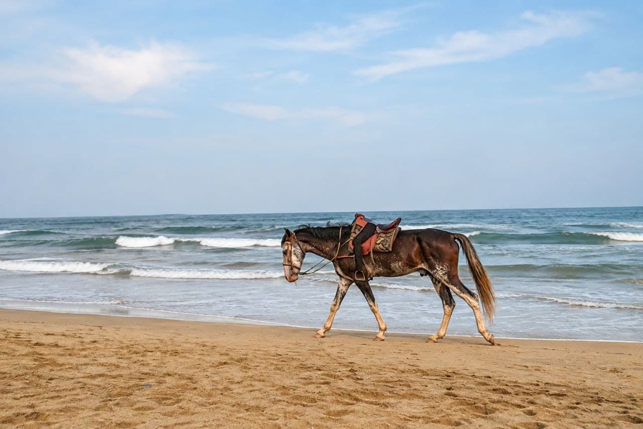 Vizag to Araku Valley | Vanjangi | Lambasingi Tour Packages photo 2