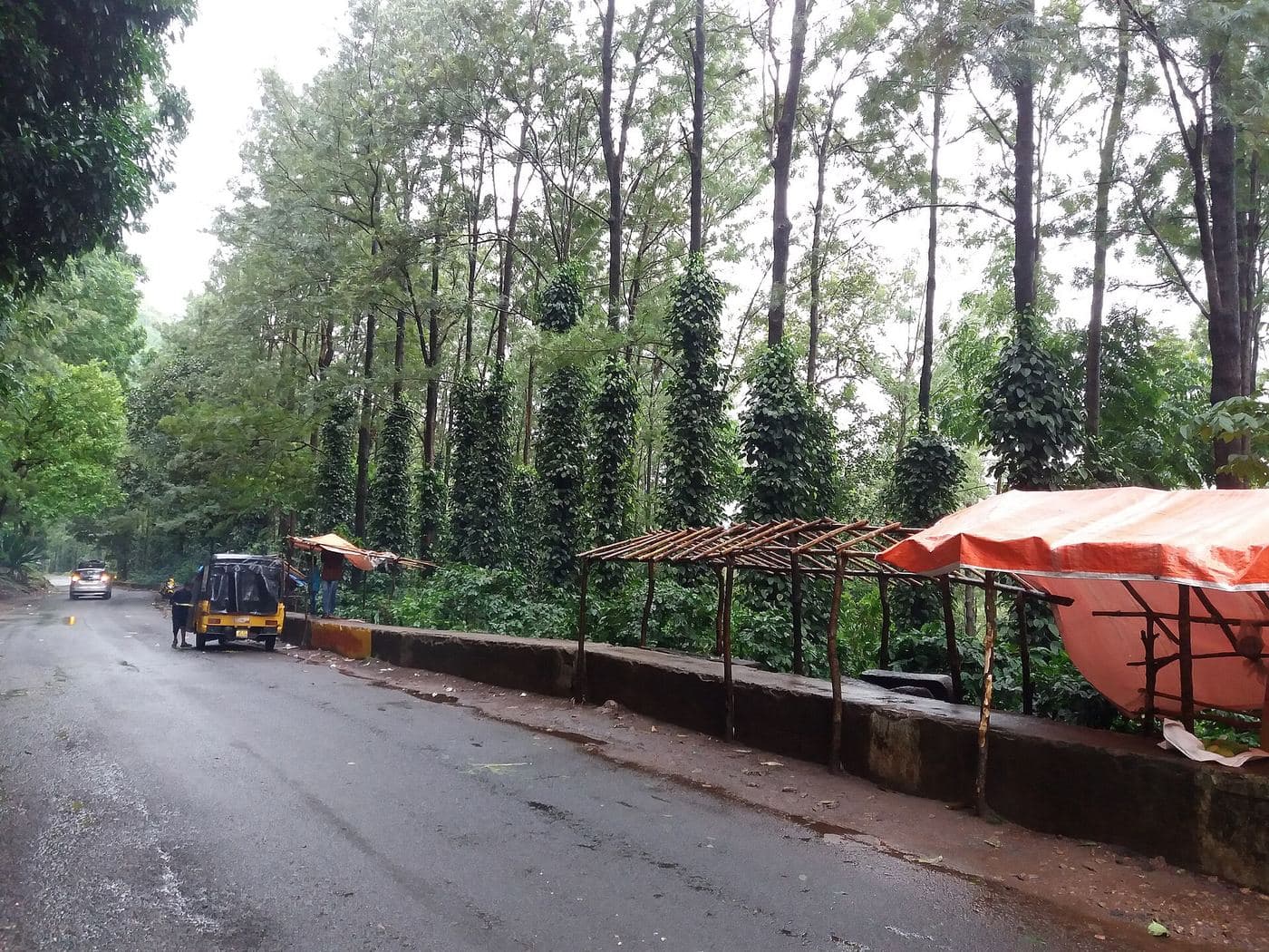 Araku Valley Day Tour from Vizag