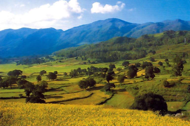 Araku Valley Day Tour from Vizag photo 4